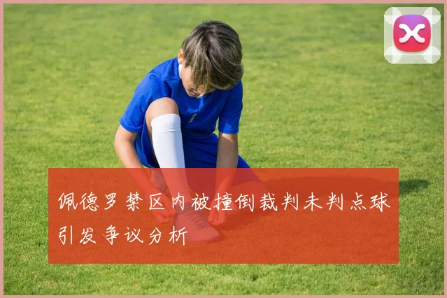 佩德罗禁区内被撞倒裁判未判点球引发争议分析