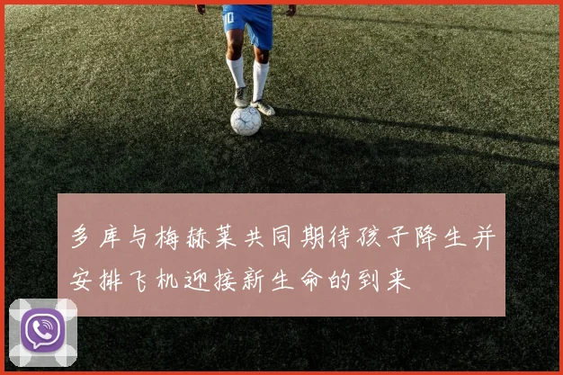 多库与梅赫莱共同期待孩子降生并安排飞机迎接新生命的到来